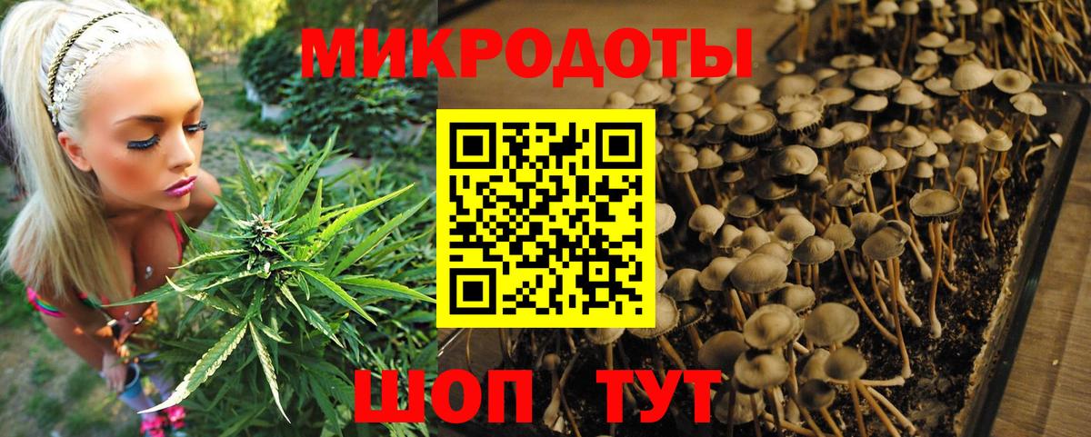 Чебоксары  Псилоцибиновые грибы мухоморы  Вход с VPN 