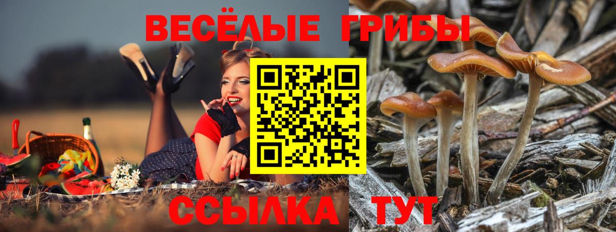 Галлюциногенные грибы Magic Shrooms Чебоксары