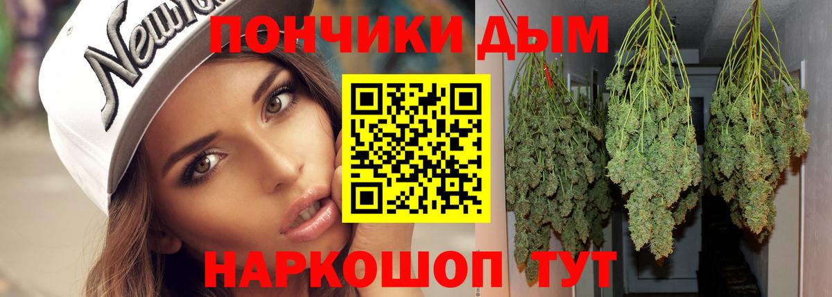 Бошки Шишки планчик Чебоксары